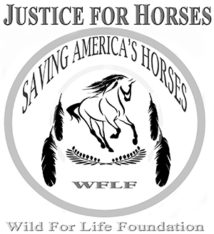 Justice For Horses